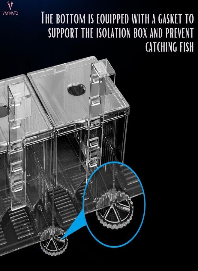 VAYINATO® Double Deck Hook Type Multifunctional Isolation Box | Small Fish Fry Seedling Spawning Aquarium Breeding Box | Double Sucker Can be Replaced by Petzlifeworld - Image 4